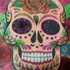 Timothy Curl - @timothycurl - TikTok