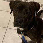 Timothy Seitz - @timothyseitz10 - Instagram
