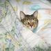 Timothy Sell - Facebook