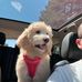 Timothy Sellars - Facebook
