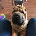 Timothy Sellars - Facebook