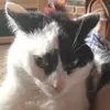 timothy shedd - @timothy.shedd2 - TikTok