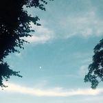 Timothy Sawyer Shepard - @timothy_sawyer_shepard - Instagram