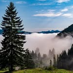 Timothy Shepard - @timothyshepardhak89975 - Instagram