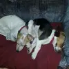 timothyshively928 - @timothyshively928 - TikTok