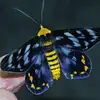 Johnny Wolfe *Moth* - @johnnywolfe1992 - TikTok