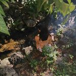 Timothy Shivers - @shivers_timothy - Instagram