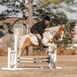 Timothy Shoemaker - @tshoes007 - Instagram