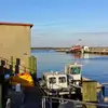 timothy shoemaker - @timothy.shoemaker5 - TikTok