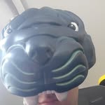 timothy's Pitt Photos + more - @timothyspp - Instagram