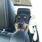 Timothy Shrader - @timothy.shrader.33 - Instagram