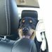 Timothy Shrader - Facebook