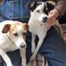 Tim Shrout - Facebook