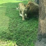 Timothy Silver - @silver8709 - Instagram