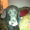Timothy Silver - @timothysilver - TikTok