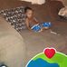 Timothy Singleton - Facebook