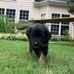 Timothy Singleton - Facebook