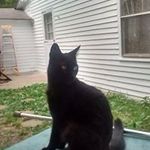 Timothy Slade - @sladetimothy - Instagram