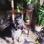 timothysmoker - @timothy_smoker - Instagram