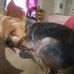 Tim Smoot - Facebook