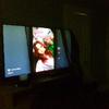 timothysopher - @bellasopherrosetta - TikTok