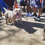 Timothy Sowell - @for_the_people_security - Instagram
