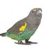 Tim Speelman - Facebook
