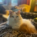 @mastertimothyofoxendensquare - Instagram