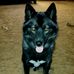 Timothy Squires - Facebook