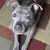 timothystapler4 - @timothy.stapler - TikTok