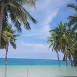 Timothy Joseph William - @timothy.stacey.16 - Instagram
