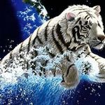 Timothy Stage - @timothystage - Instagram