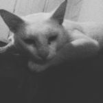 Timothy stallard - @crystalwilliamson305 - Instagram