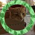 Timothy Stapleton - Facebook