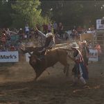 Timothy Stapleton - @timothy_outdoors97 - Instagram