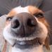 Tim Stenberg - Facebook