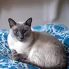 timothysternberg - @timothy.sternberg - TikTok