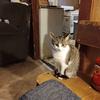 Timothy Stiltner938 - @timothystiltner0 - TikTok