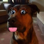 Timothy M Stinson - @throttlejockey785 - Instagram