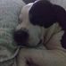 Tim Strobel - Facebook