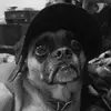 timothystrobeljr - @timothy.strobel.j - TikTok