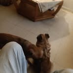 Timothy Strong - Facebook