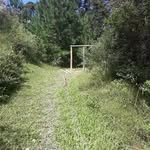 Timothy Tarbox - @timothytarbox - Instagram