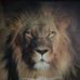 Tim Tarver - Facebook