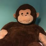 💙TIMOTHY💙 - @timothy_the_teddy - Instagram
