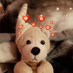 Timothy - @timothy_teddybear - Instagram