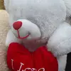 Timothy - @timothythepolarbearteddy - TikTok