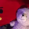 Timothy_ThatCoolTeddyBear🧸 - @timothy_thatcoolteddy - TikTok