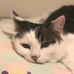 Timothy Tew - @timothy.tew - Instagram