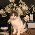 Timothy thies - @thies8829 - Instagram